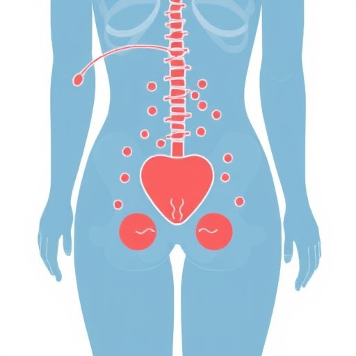 Your Essential Guide to Urine Infections